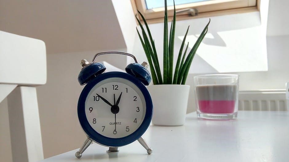 sonic bomb alarm clock manual