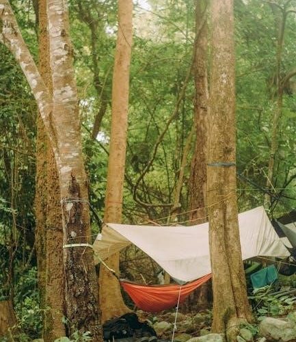 camp out vbs lessons pdf