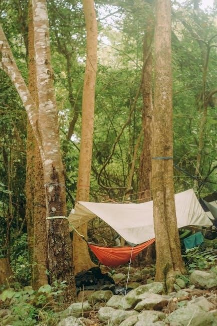 camp out vbs lessons pdf