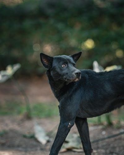 acquiring medical language pdf free download