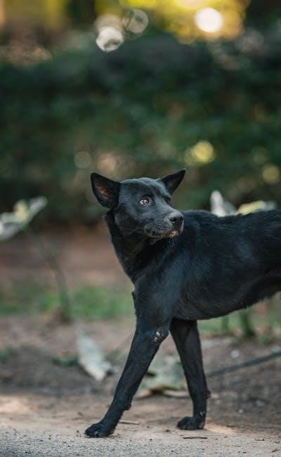 acquiring medical language pdf free download